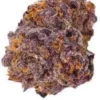Grand Daddy Purple Strain