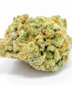 Super Jack Sativa Marijuana Strain
