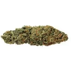 Thai Stick Landrace Cannabis