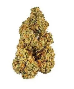 The Blood Cannabis Strain