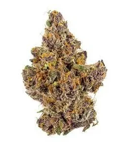 The Purp Strain