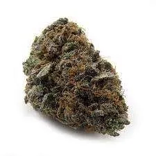 Buy Very Berry Cannabis Strain