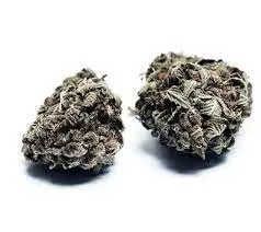 Vietnamese Black Cannabis Strain