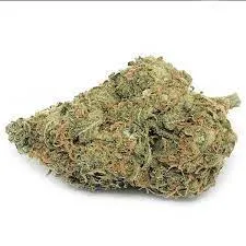West Coast Diesel Strain