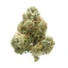 Buy White Knight Strain