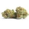 Wild Thailand Cannabis Strain