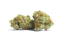 Wild Thailand Cannabis Strain