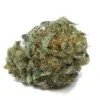 William's Wonder Strain