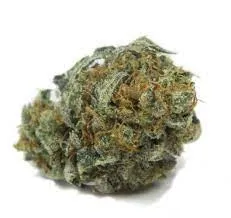 William's Wonder Strain